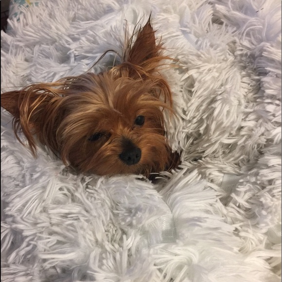 ❤️❤️HAPPY SHOPPING❤️❤️ - Picture 9 of 14